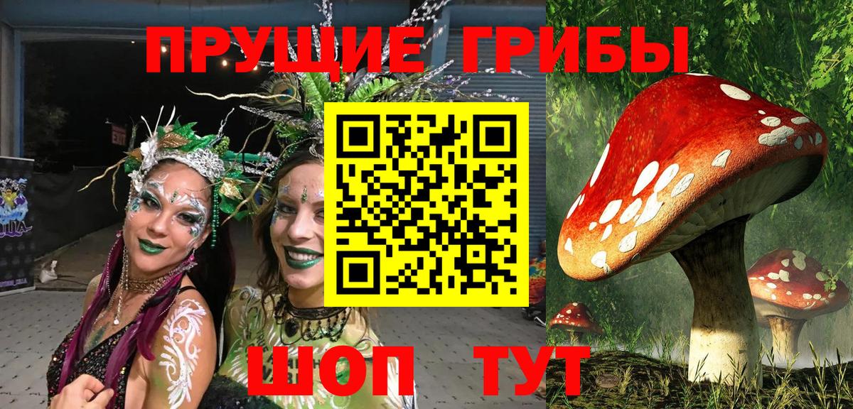 Галлюциногенные грибы ЛСД Гатчина